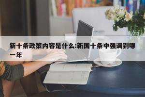 新十条政策内容是什么:新国十条中强调到哪一年